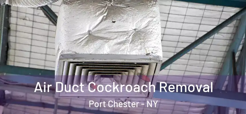 Air Duct Cockroach Removal Port Chester - NY