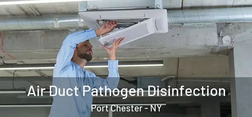  Air Duct Pathogen Disinfection Port Chester - NY