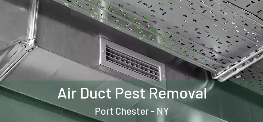 Air Duct Pest Removal Port Chester - NY
