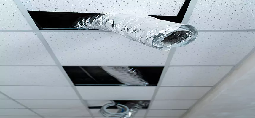 Our Air Duct Pet Hair Removal Services in Port Chester, NY