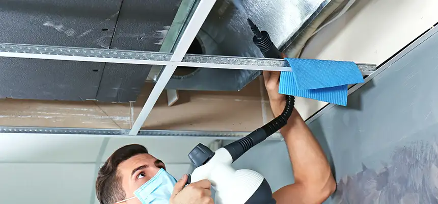 Our Air Duct Rodent Removal Services in Port Chester, NY