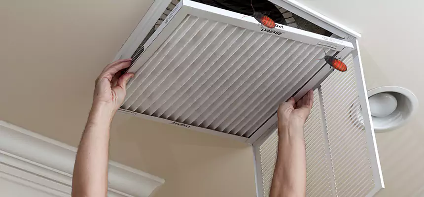 Our Insect Removal from Air Ducts Services in Port Chester, NY
