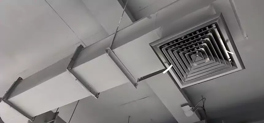 Our Pest Removal From Ducts Services in Port Chester, NY