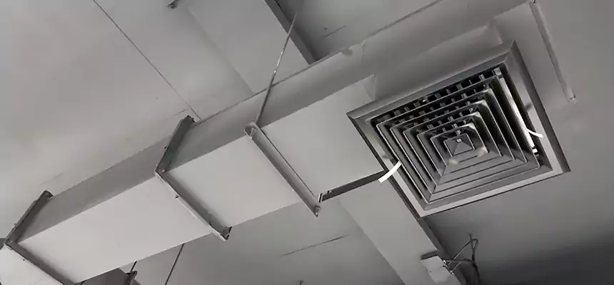 Our Rodent Droppings In Vents Services in Port Chester, NY