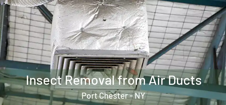 Insect Removal from Air Ducts Port Chester - NY