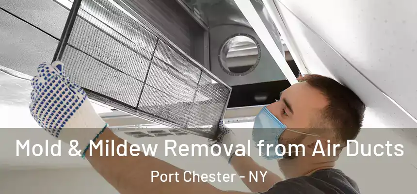  Mold & Mildew Removal from Air Ducts Port Chester - NY