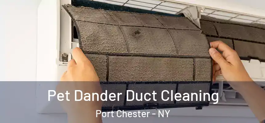 Pet Dander Duct Cleaning Port Chester - NY