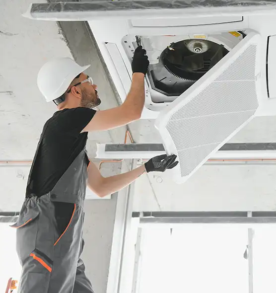 About Air Duct Rodent Removal in Port Chester, NY