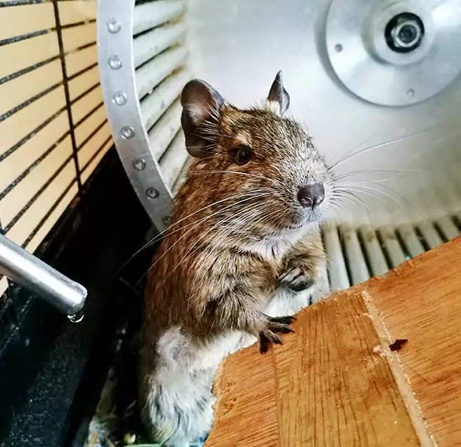 Why Homeowners & Businesses Trust Us Port Chester, NY?