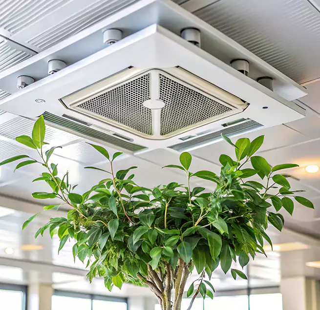 Why Homeowners & Businesses Trust Us in Port Chester, NY?