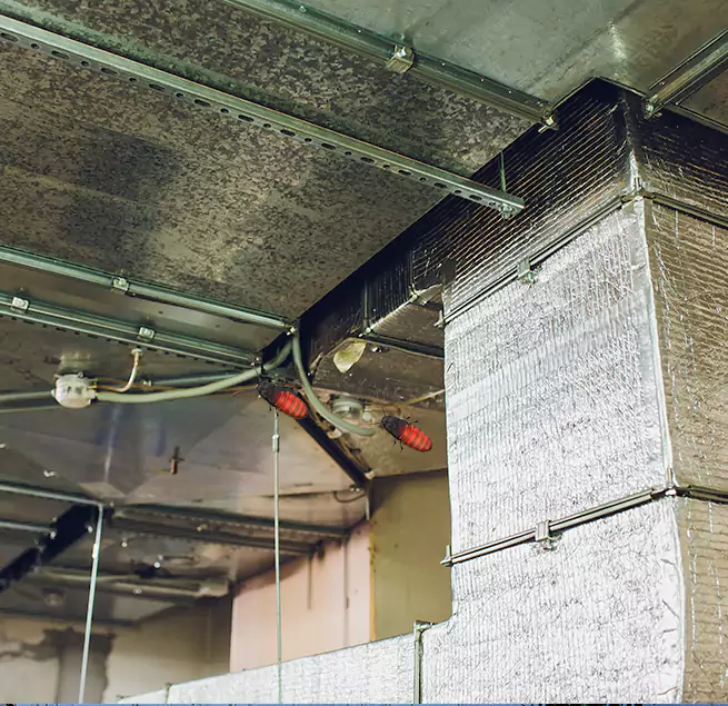 Why Homeowners & Businesses Trust Us Port Chester, NY?